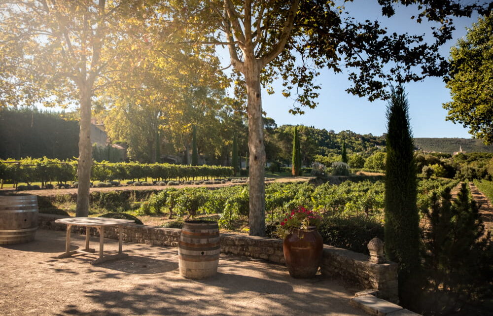 Séjour gastronomique dans un château : une expérience d’exception à vivre
